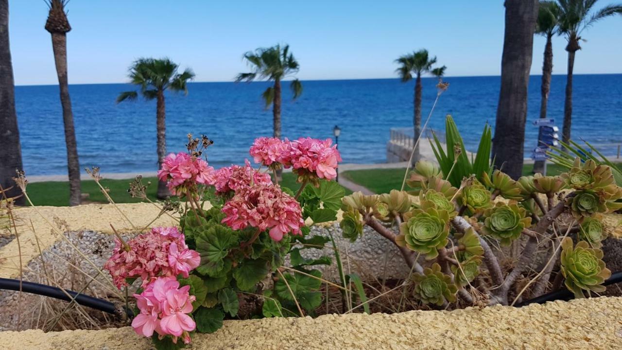 Apartamento Magnificas vistas al mar Oropesa del Mar Exterior foto